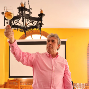 I jornadas del Vino Natural de Molvízar